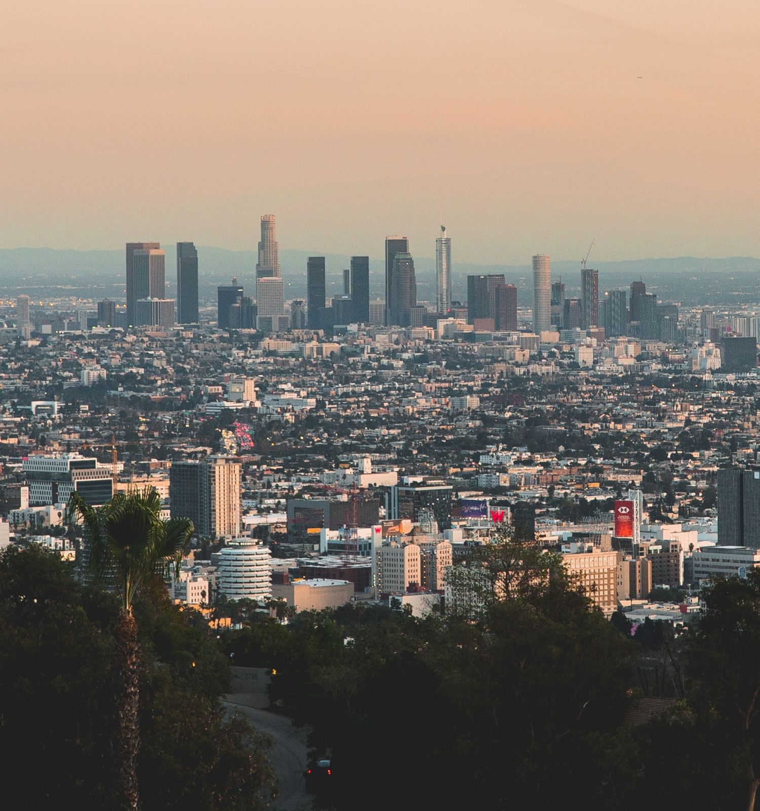 A city skyline at dusk with numerous tall buildings and a sprawling urban area, viewed from an elevated point with trees in the foreground.